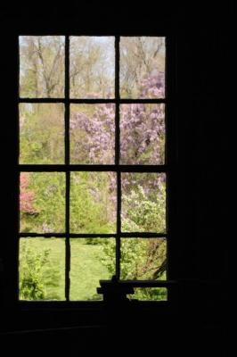 Garden Window (Walnford)