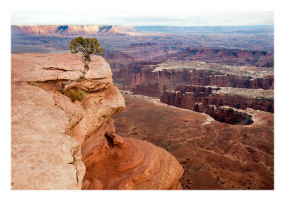 20111115_Moab-66_13.jpg