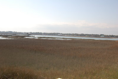 DSC_0081.JPG