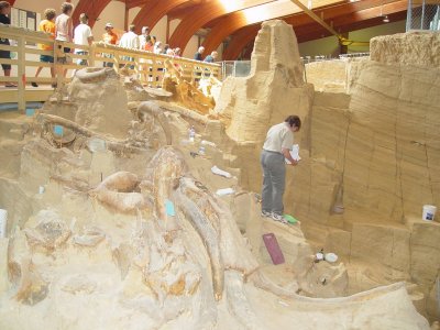 THE TOUR OF THE ARCHAEOLOGICAL SITE AT THE MAMMOTH SITE IN HOT SPRINGS, SD