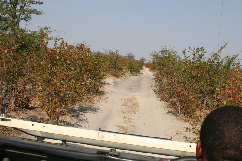 On the way to camp from the airfield