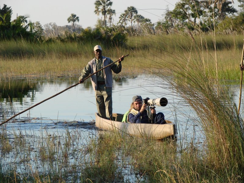 Guides use a pole to propel the mokoro silently through the water.