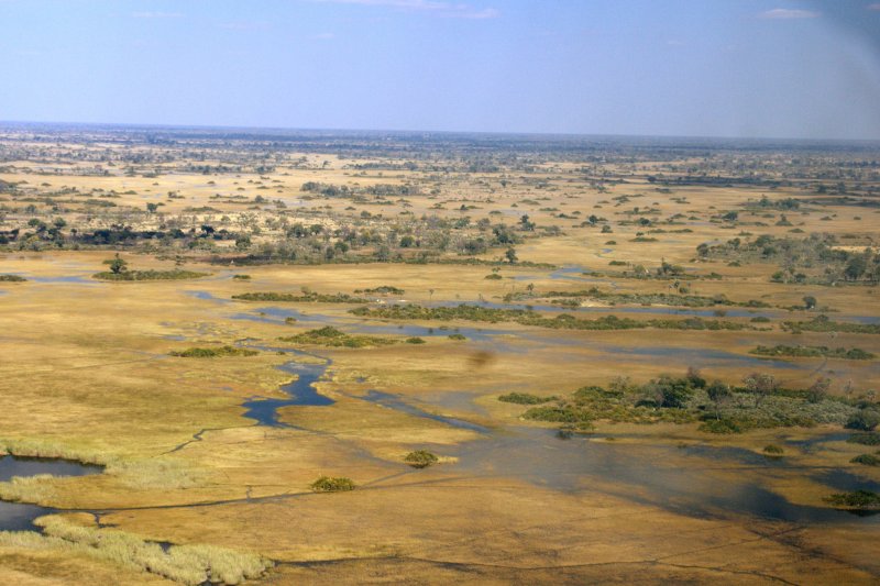 The landscape changed dramatically as we approached the Okavango Delta