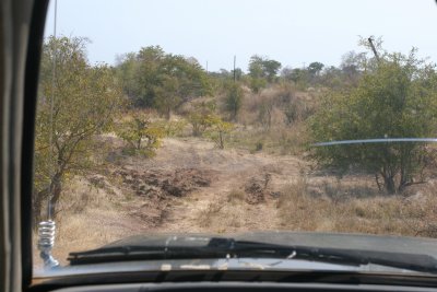 The road to our lodge