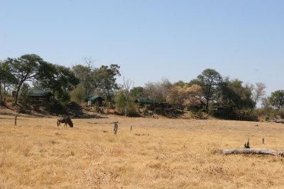 The view of Savuti Camp from the watering hole