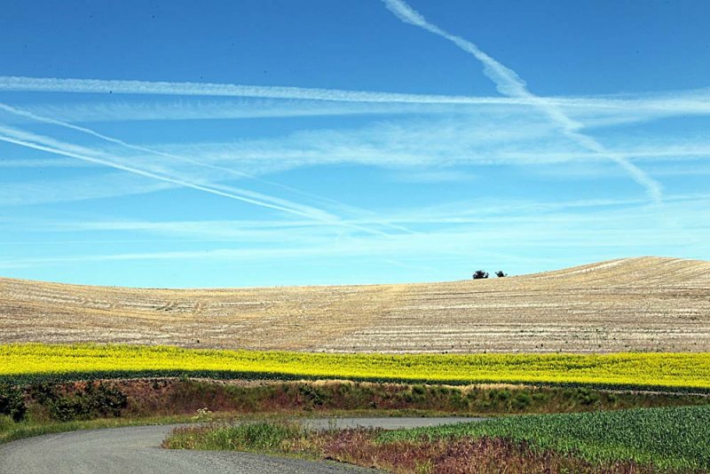 042_Palouse.JPG