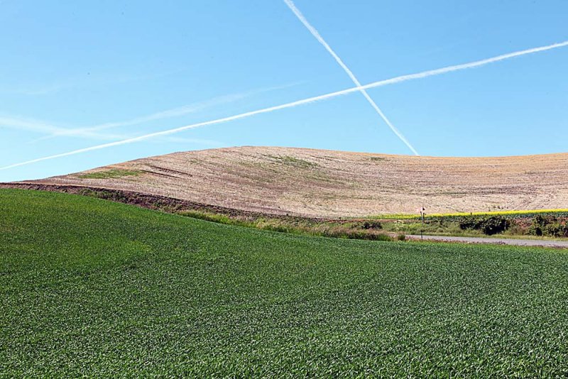 043_Palouse.JPG