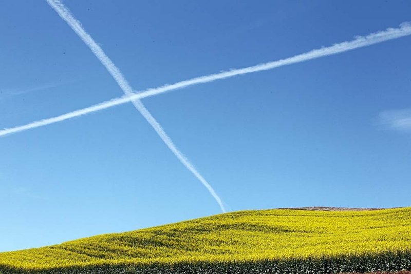 045_Palouse.JPG