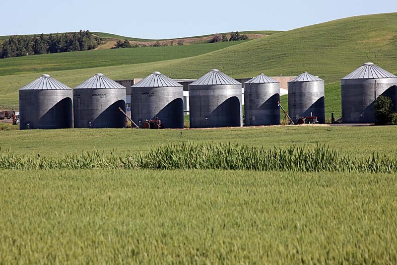 052_Palouse.JPG
