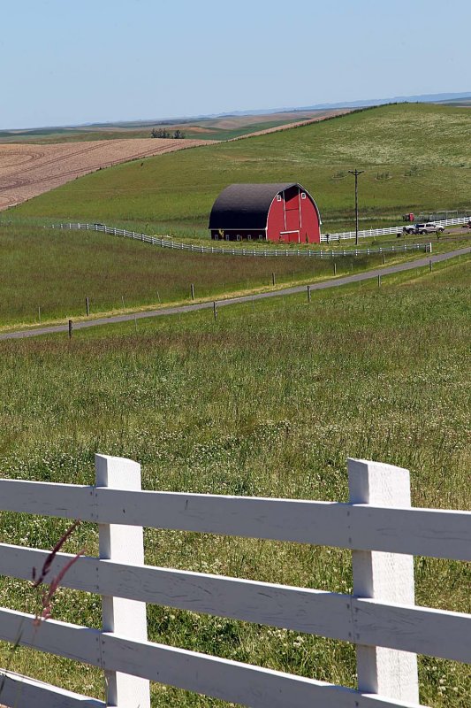 073_Palouse.JPG