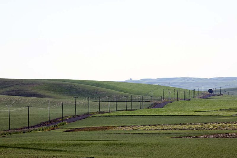 091_Palouse.JPG