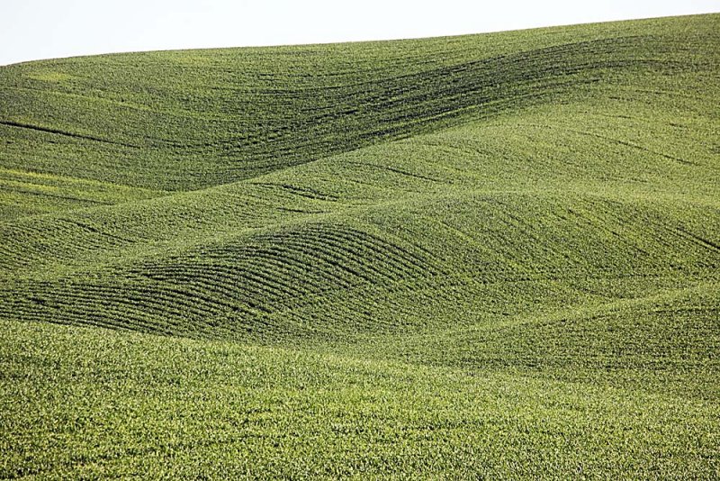 092_Palouse.JPG