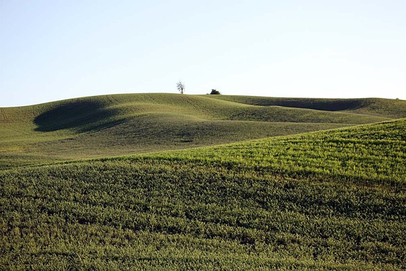 111_Palouse.JPG