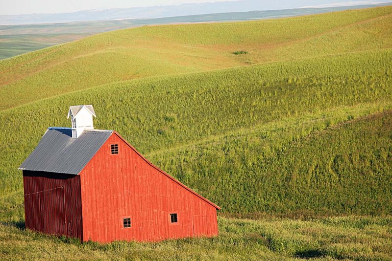 115_Palouse.JPG