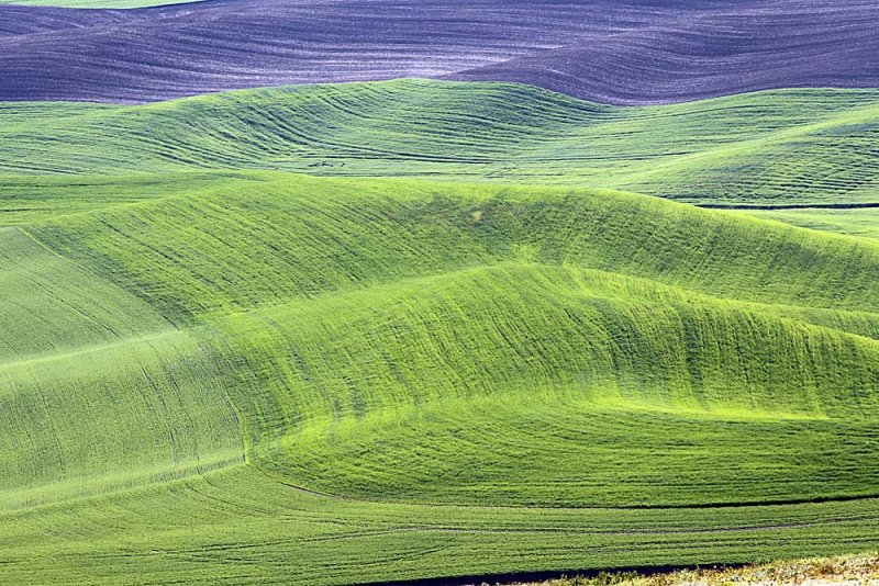 138_Palouse.JPG