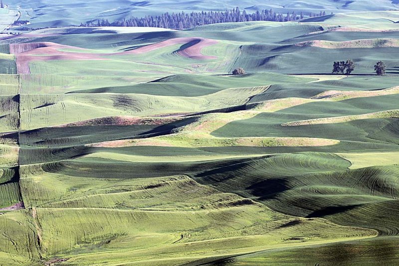 144_Palouse.JPG