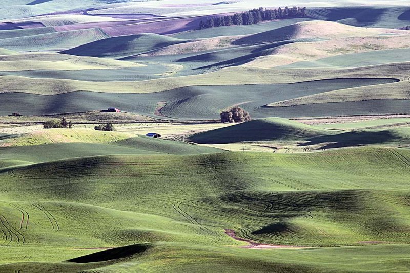 147_Palouse.JPG