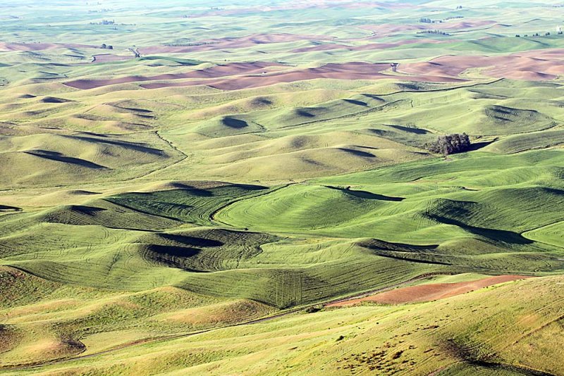 154_Palouse.JPG