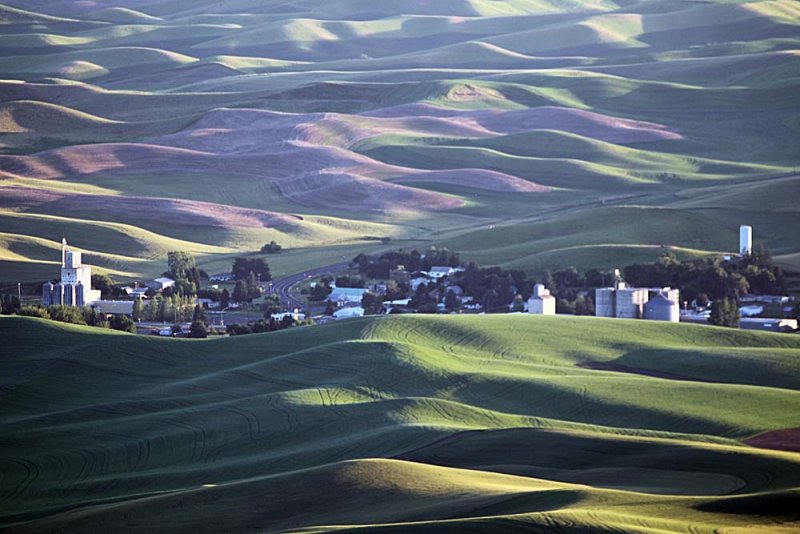 172_Palouse.JPG