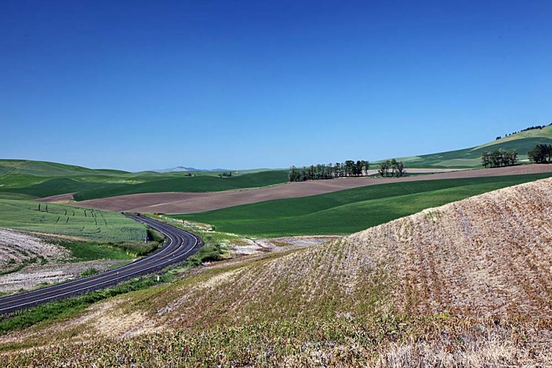 175_Palouse.JPG