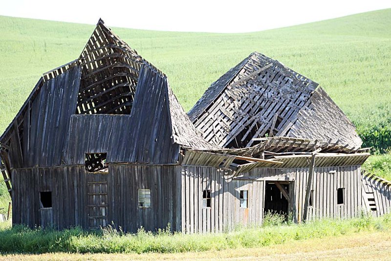 177_Palouse.JPG