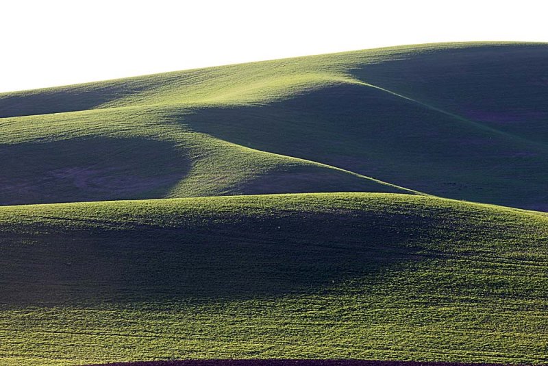 202_Palouse.JPG