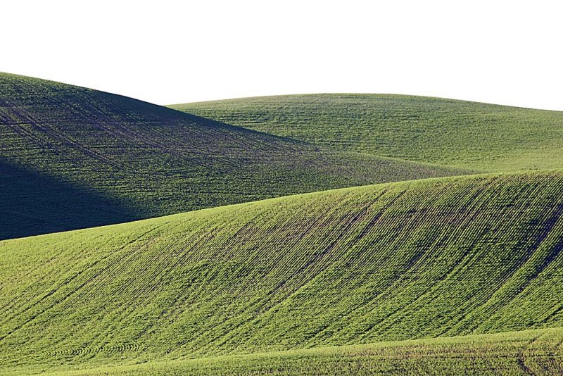 203_Palouse.JPG