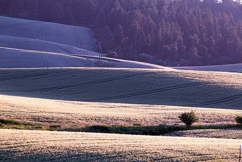 206_Palouse.JPG