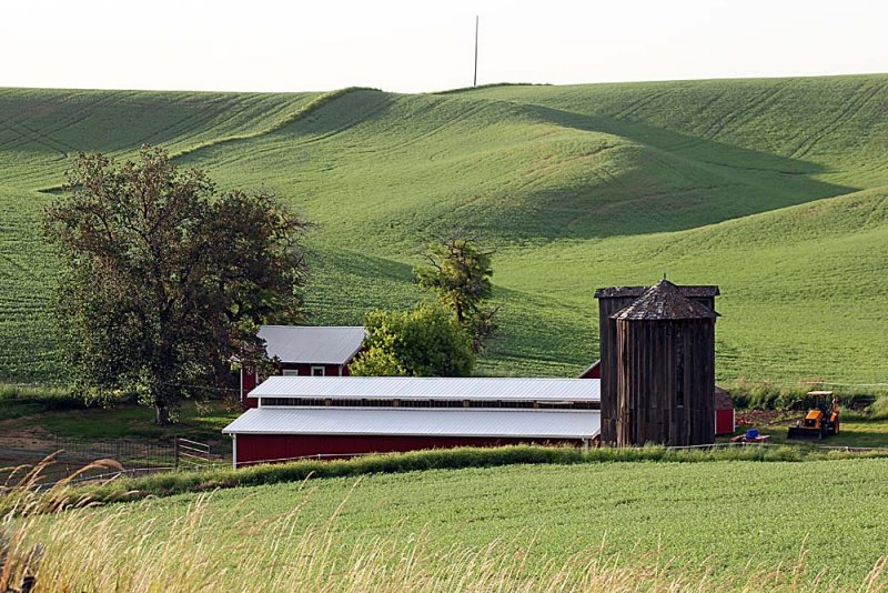 249_Palouse.JPG