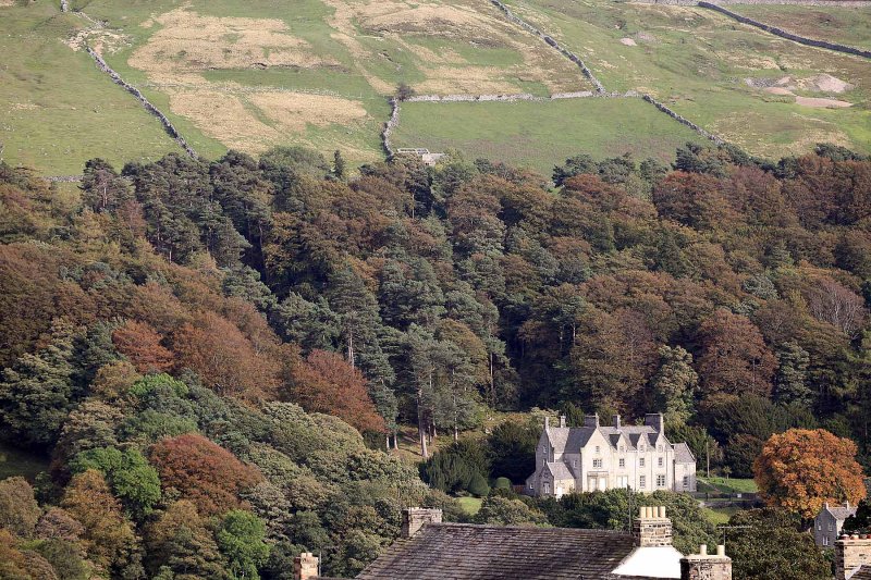 115_IMG_2329.JPG