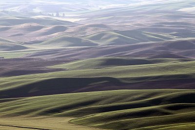 151_Palouse.JPG