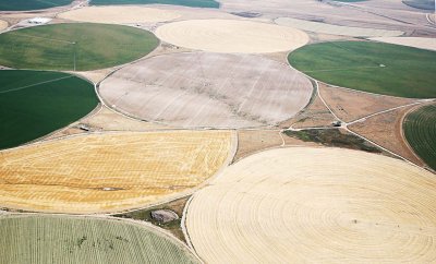 Washington State: Crop circles?