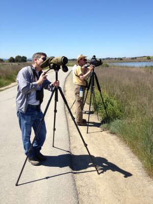 Varied Twitchers at Charleston Slough