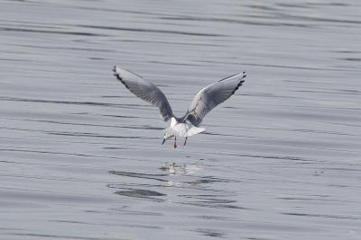 g4/81/513681/3/52257669.IMG_1796b.jpg