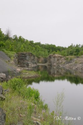 Mine_CRW_1765a.jpg