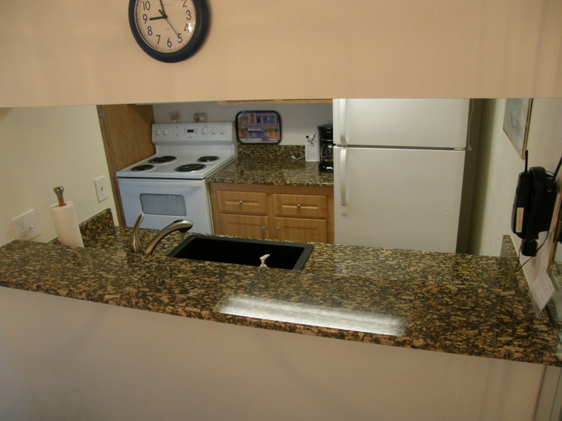 P5010305New condo kitchen.JPG