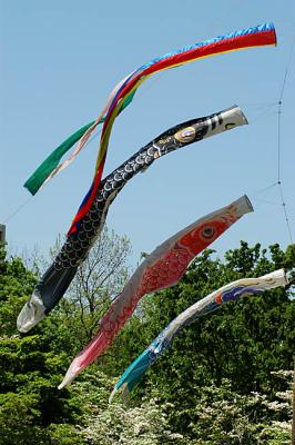 Koinobori