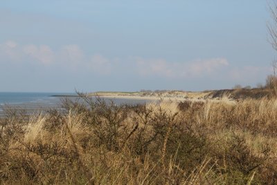 IMG_4945.jpg