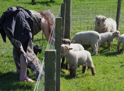 shirleywithjedlambs.jpg