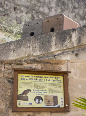 falconboxes-sk.JPG