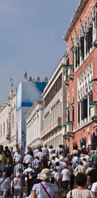 venicetourists1-sk.jpg
