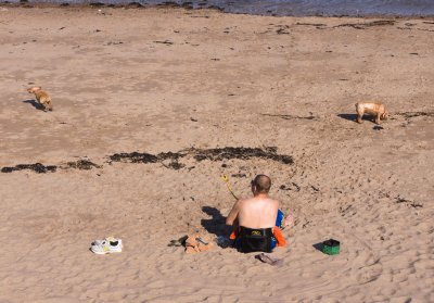 dogthrowingcup.jpg