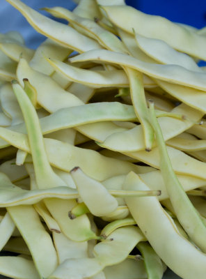 kotorpalebeans.jpg