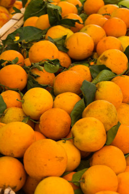 greekoranges-sk.jpg