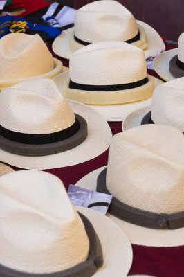 panamahats-sk.jpg