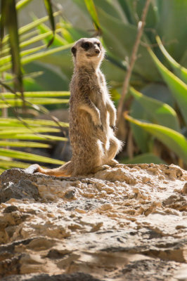 lanzarote_2012