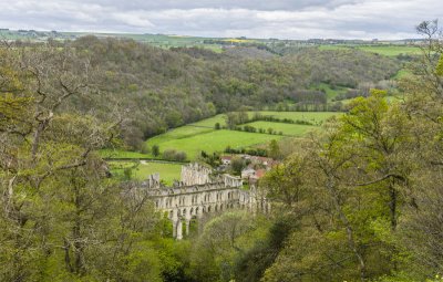 rievaulx3-sk.jpg