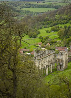 rievaulx9-sk.jpg