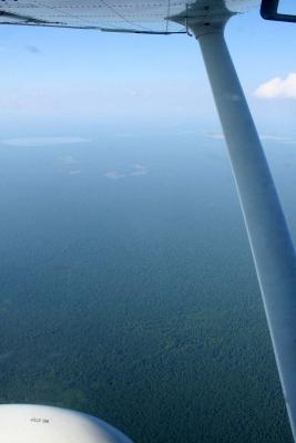 Great Dismal Swamp