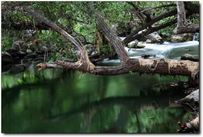 Malibu Creek 040.jpg